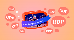 User Datagram Protocol UDP